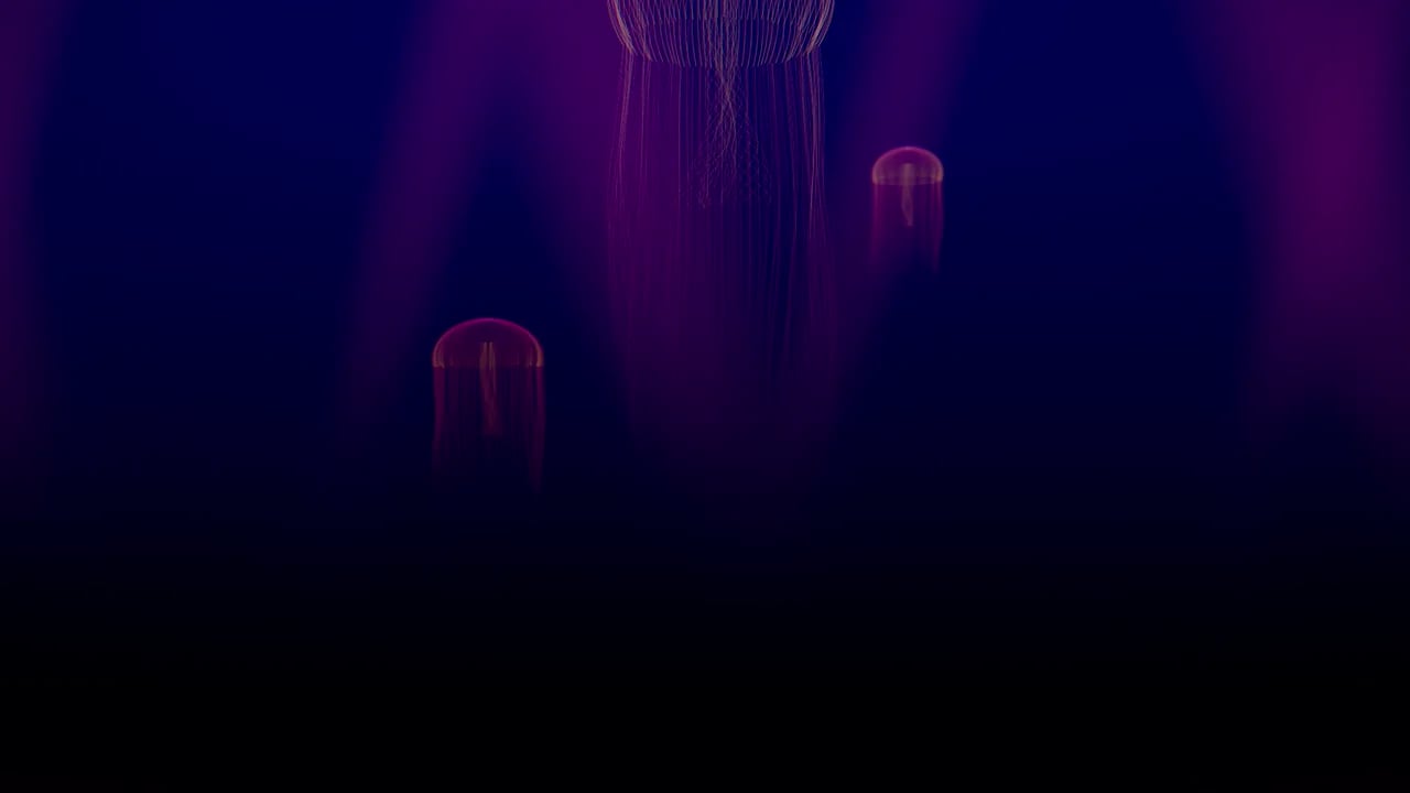 Pulse mode Jellyfish