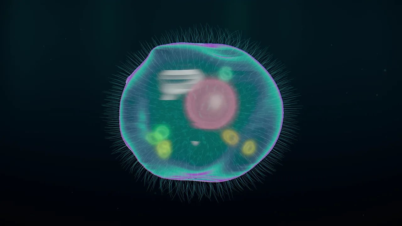 Pulse mode Organism